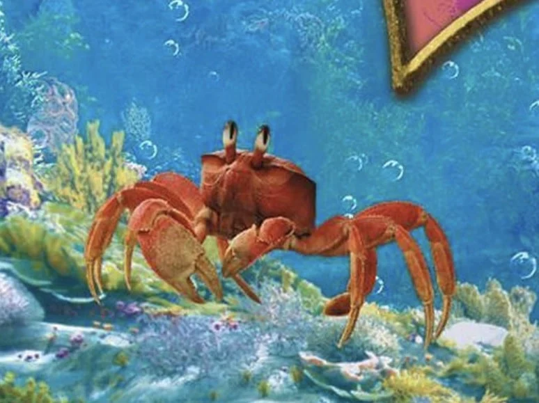 Sebastião (Yuri Chesman) The Little Mermaid; A Pequena Sereia 2023 [Sebastian]