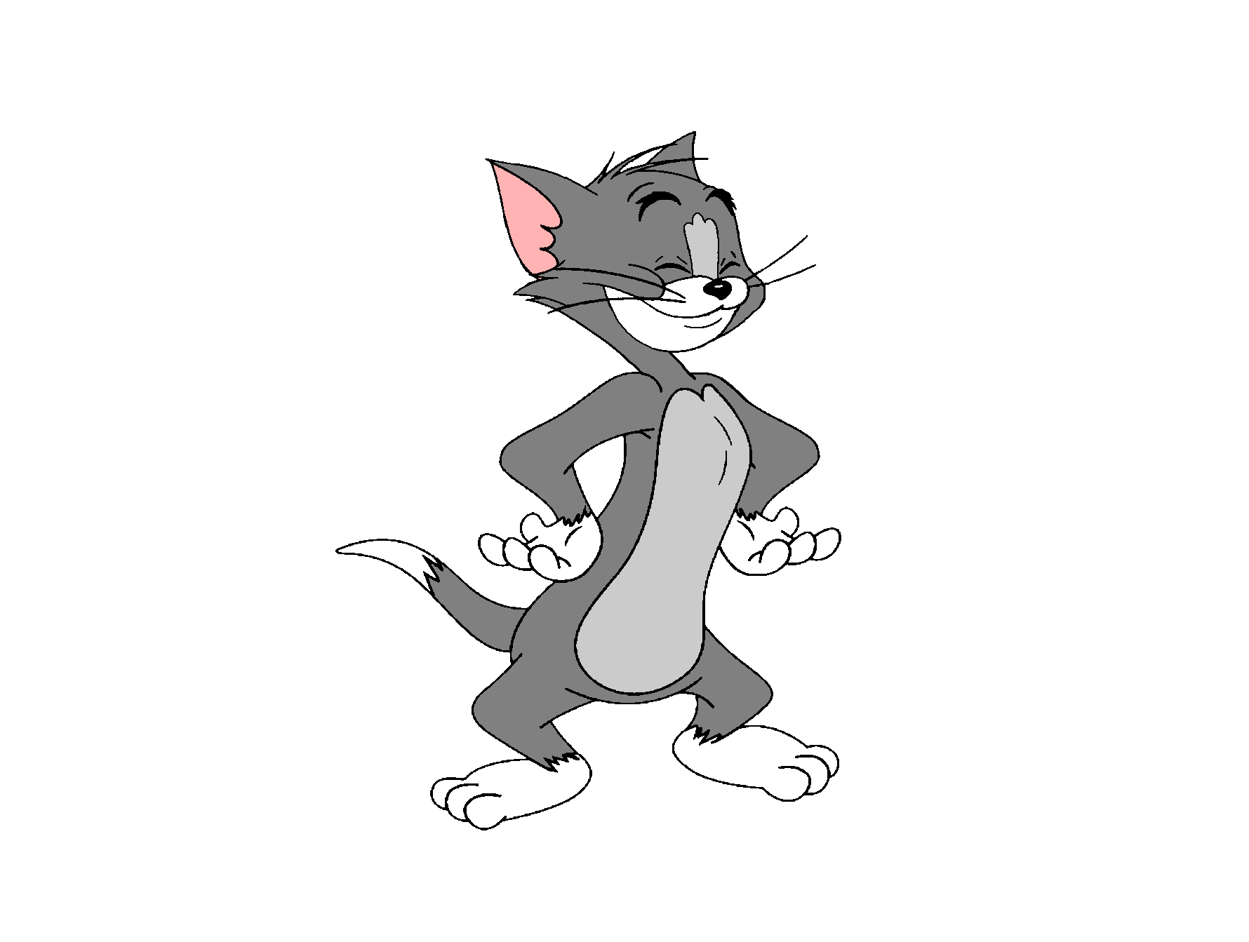 Thomas Jasper The Cat Silly