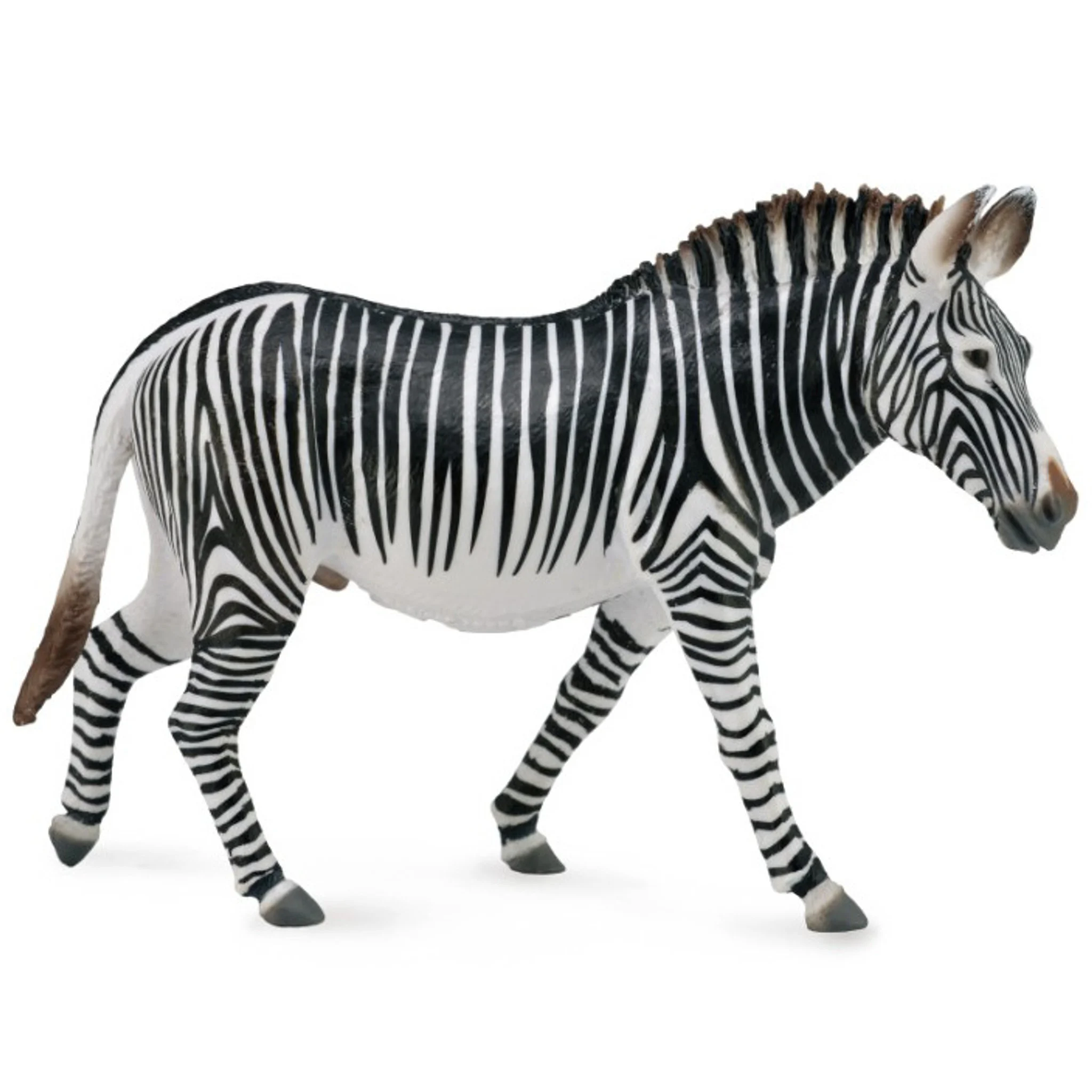 Leo The Grevy's Zebra