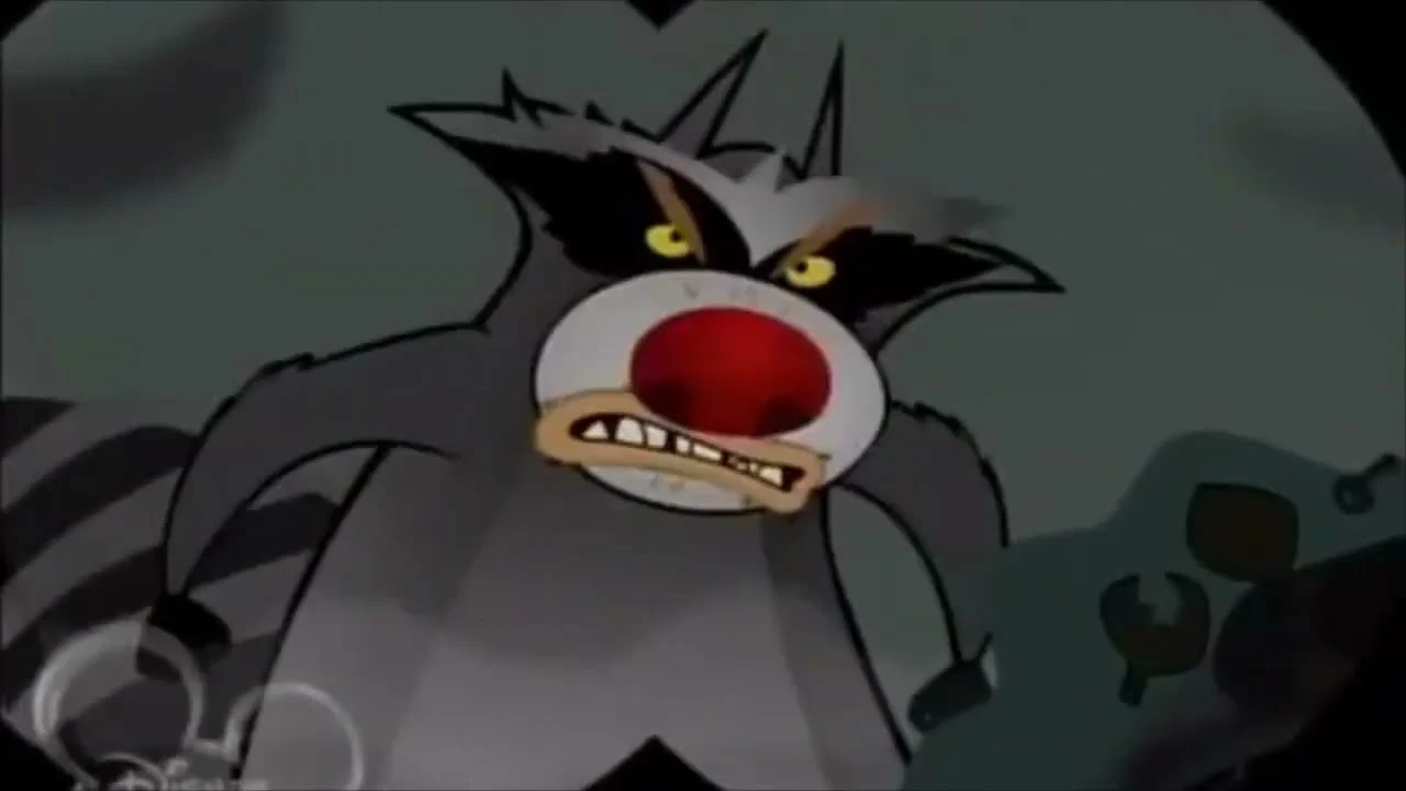 [TBOM] Raccoon