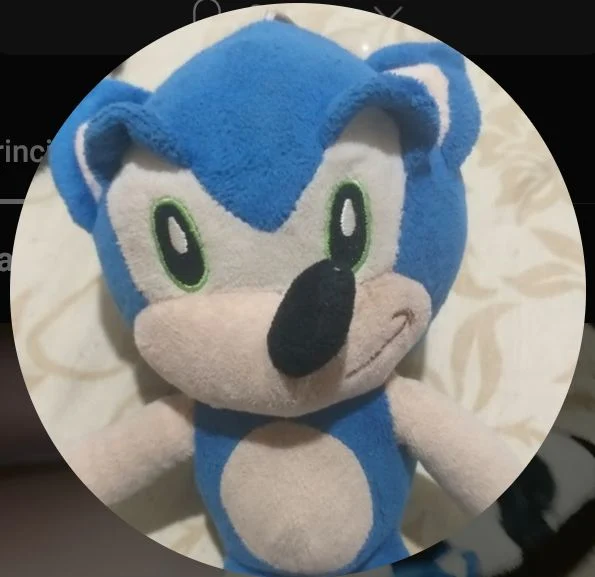 Peluche Sonic crack 