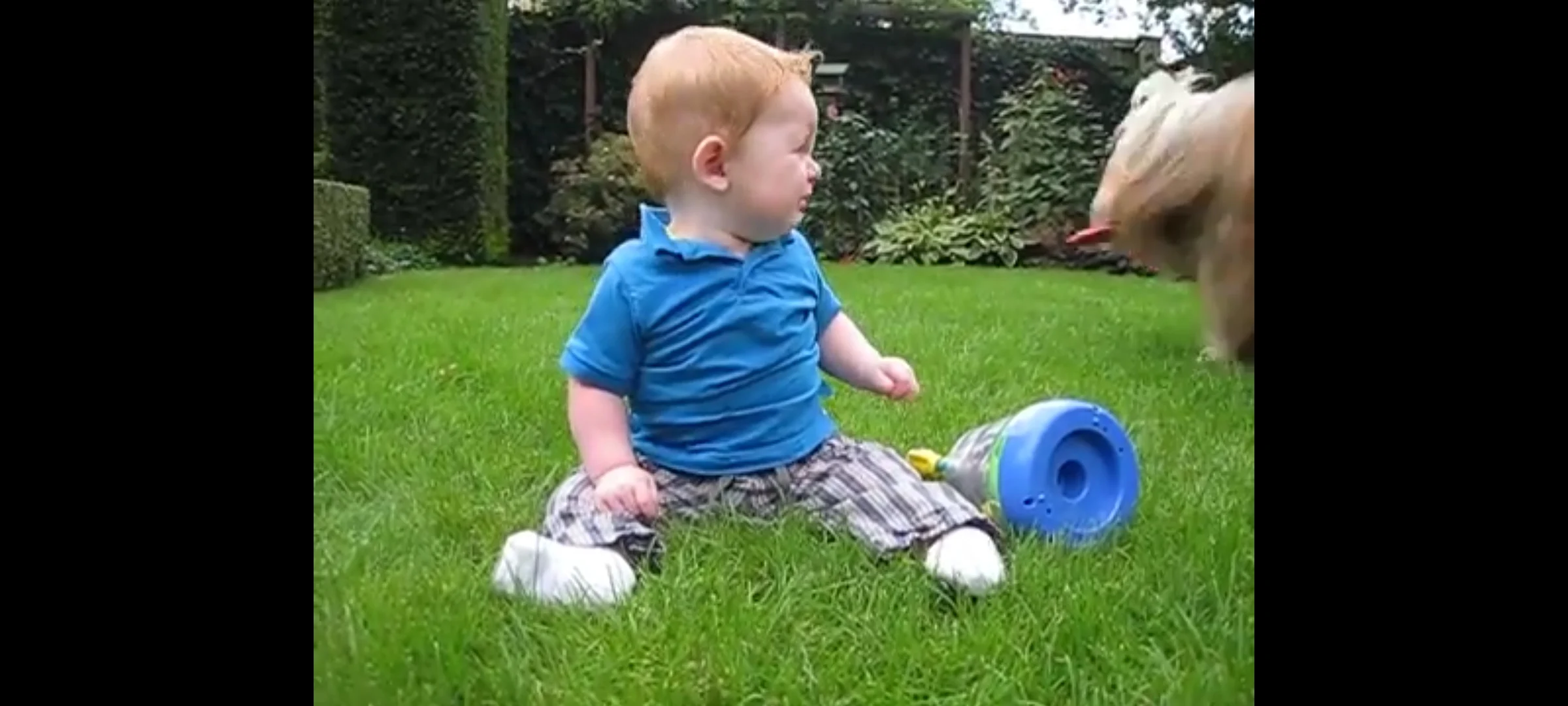The Dutch NL Grandma (CuteBabyShockedByBarkingDog/FlorusnoppenYouTube)