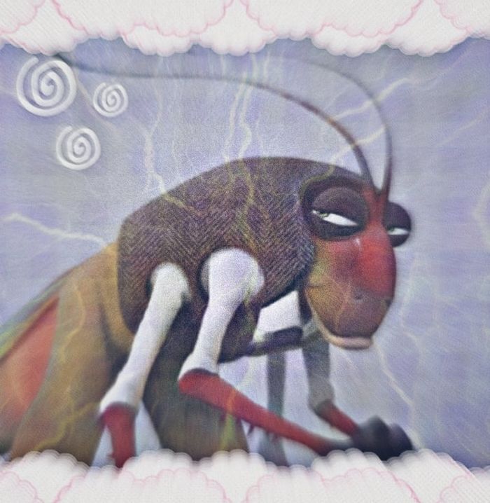 Red locust