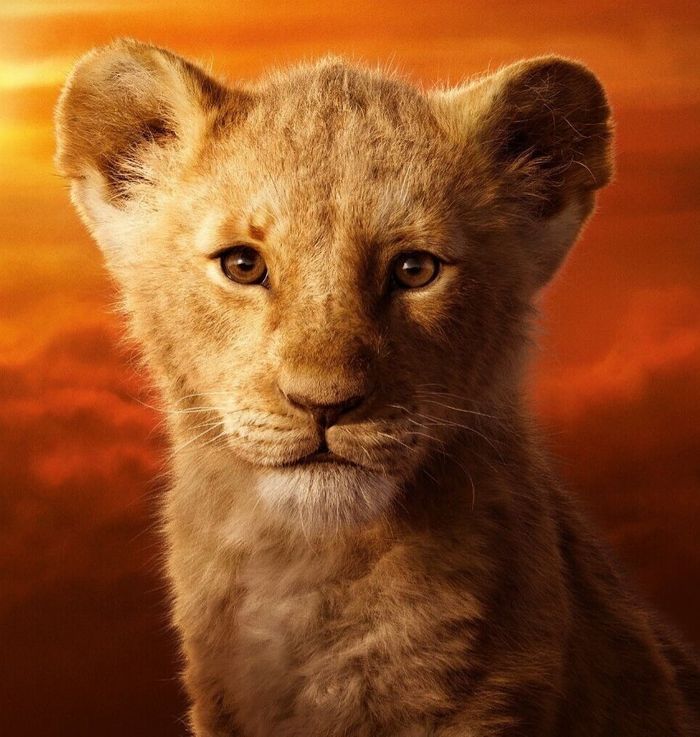 Simba (Cub) (The Lion King) (2019)