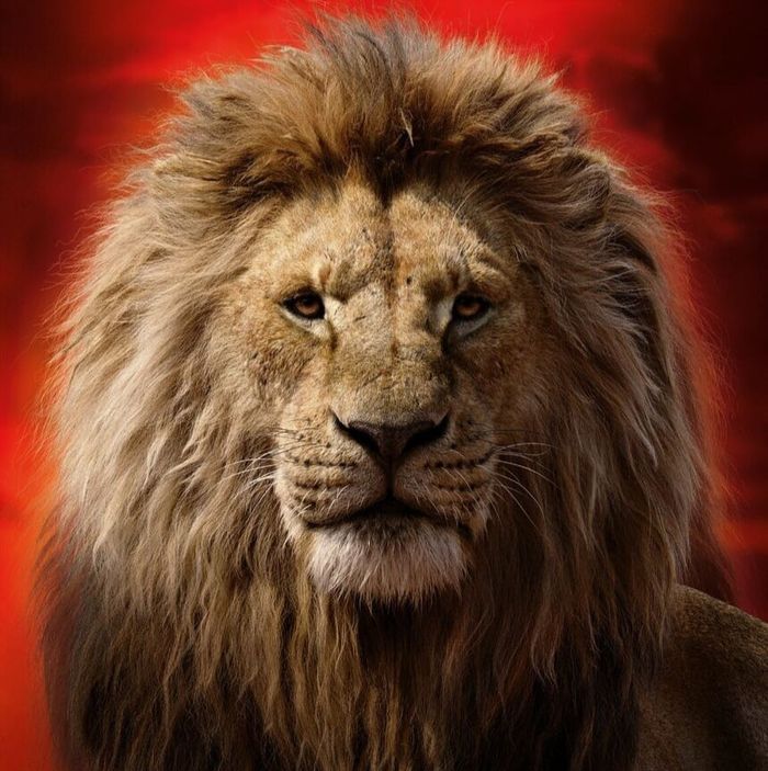Mufasa (The Lion King) (2019)