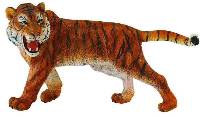 Barbera the Tigress
