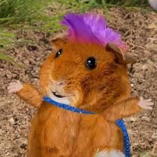 Izzy (Wonder Pets In The City)