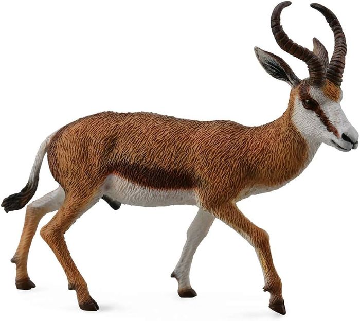 mei_hatsume The Thomson Gazelle