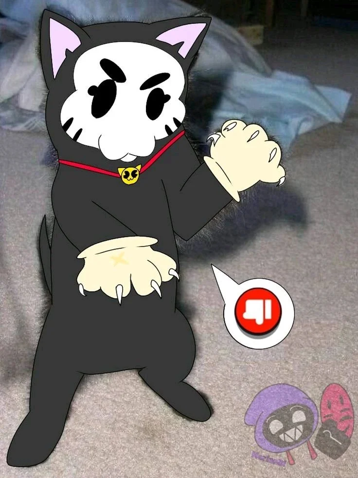 Robbie Gardunio