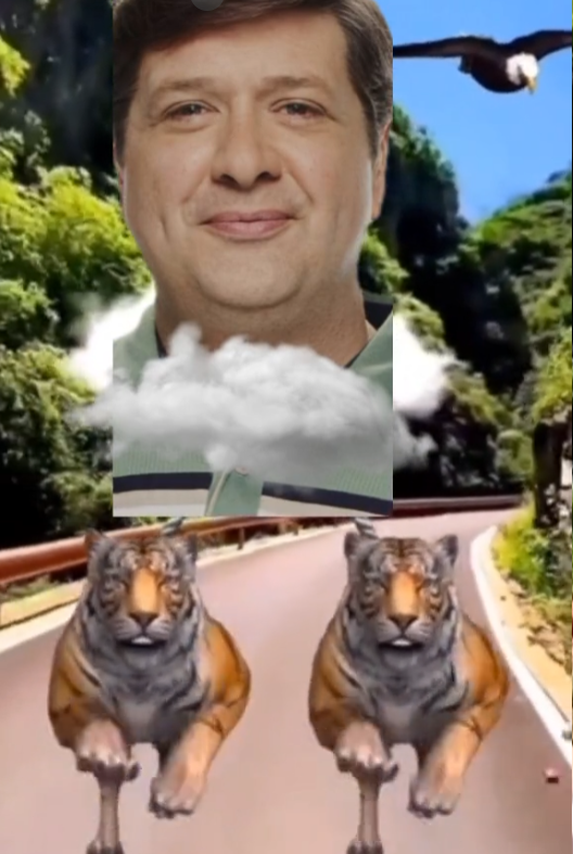 literally just baby laugh remix from that tiktok trend