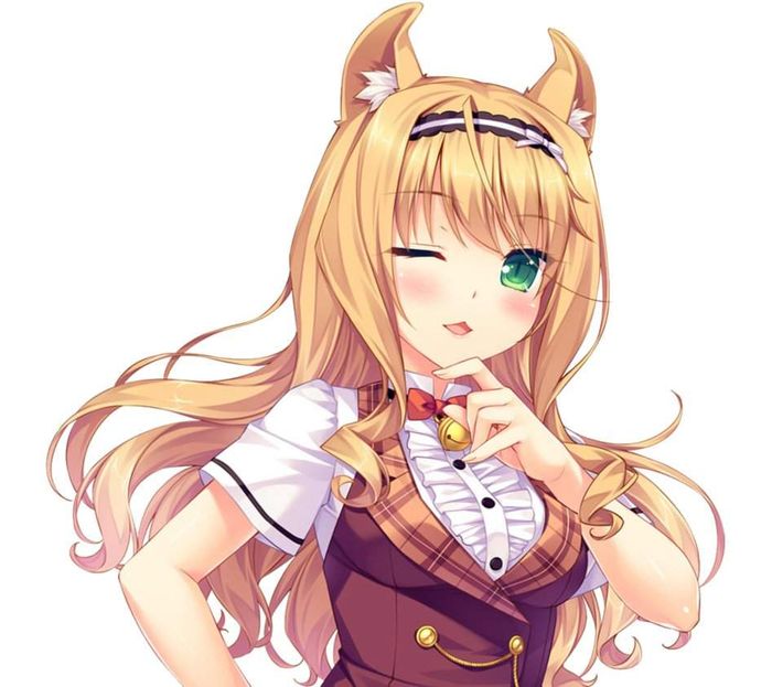 maple - nekopara (visual novel)
