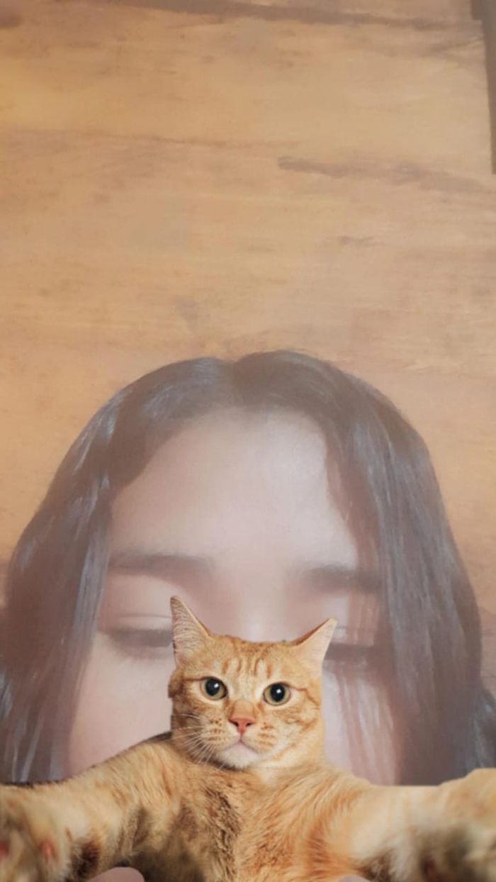 Lila