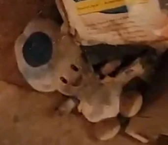 Ted Gradson (V2)