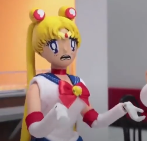 Usagi Tsukino/Sailor Moon (Robot Chicken)