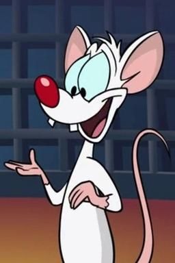 Pinky [Animaniacs 1993] (español latino/latin american)