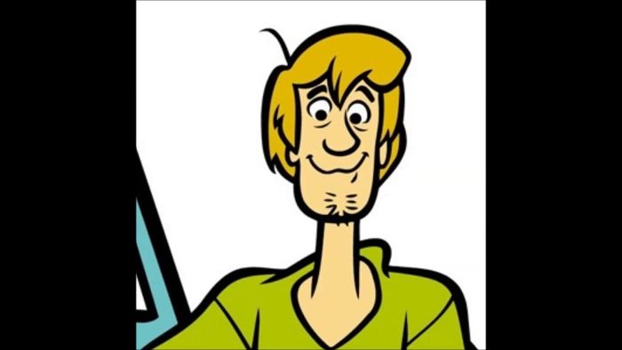 Shaggy says the N word