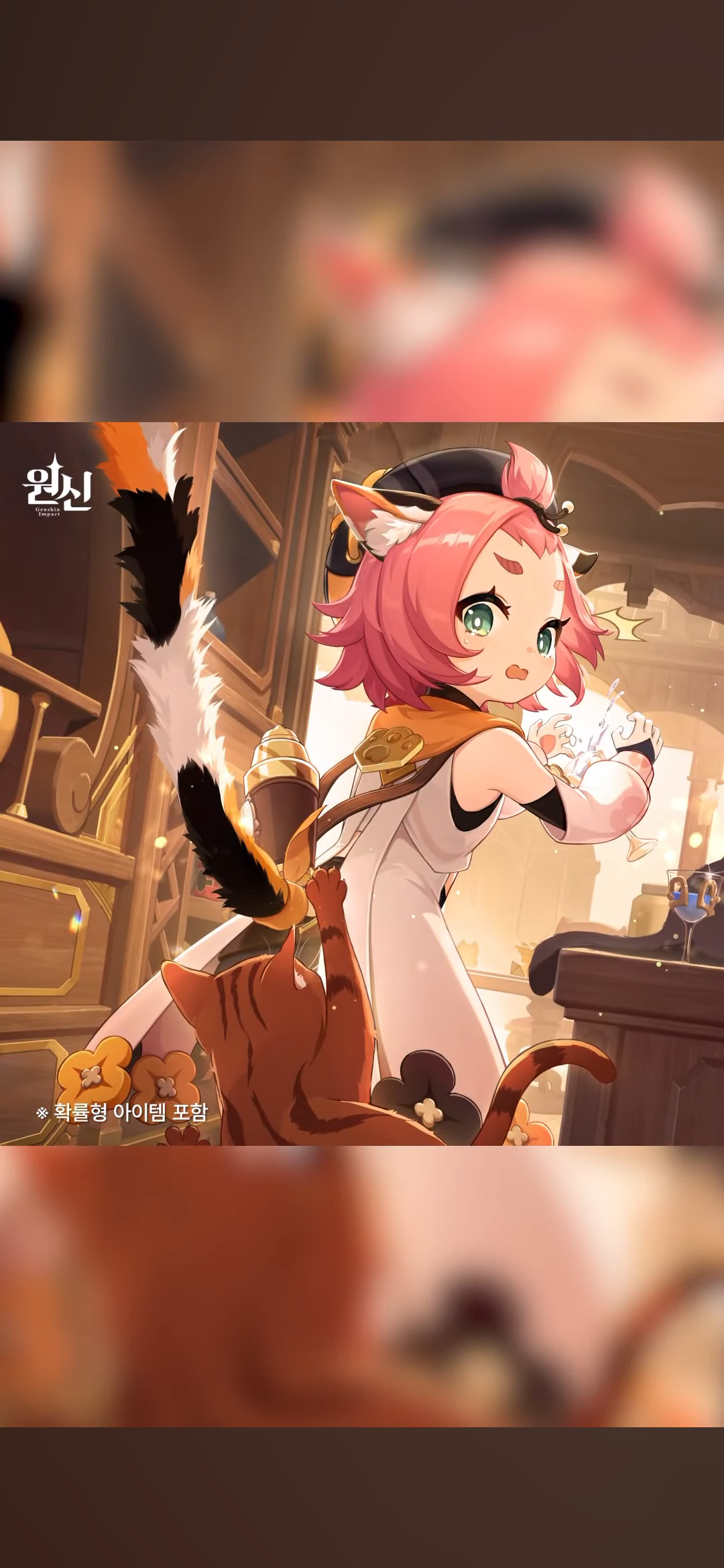 디오나 KR (Diona KR)