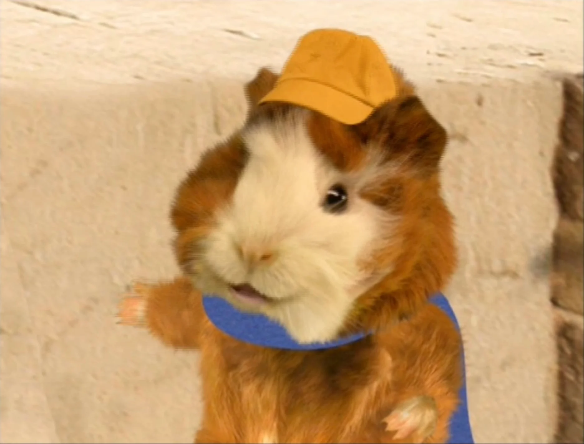 Linny The Guinea Pig (Wonder Pets) (Season 2)
