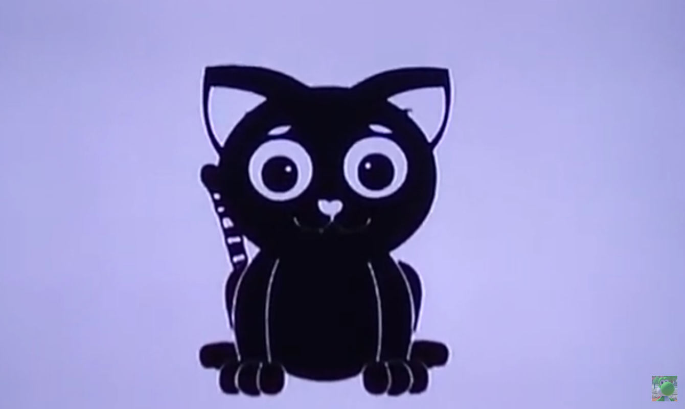 Black and white cat 1