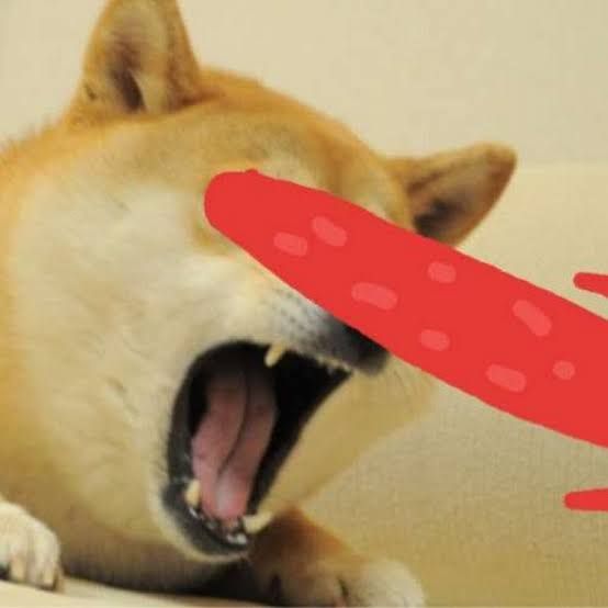 The guy edited doge 