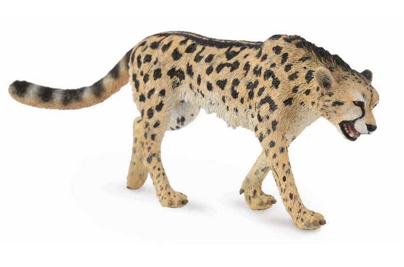 Ramil Mammadov The King Cheetah Rus
