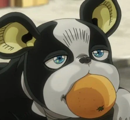 Iggy JoJo's Bizarre Adventure (JJBA)