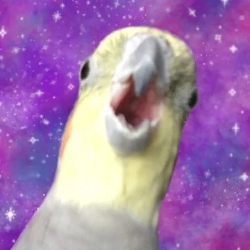 Alex the honking bird