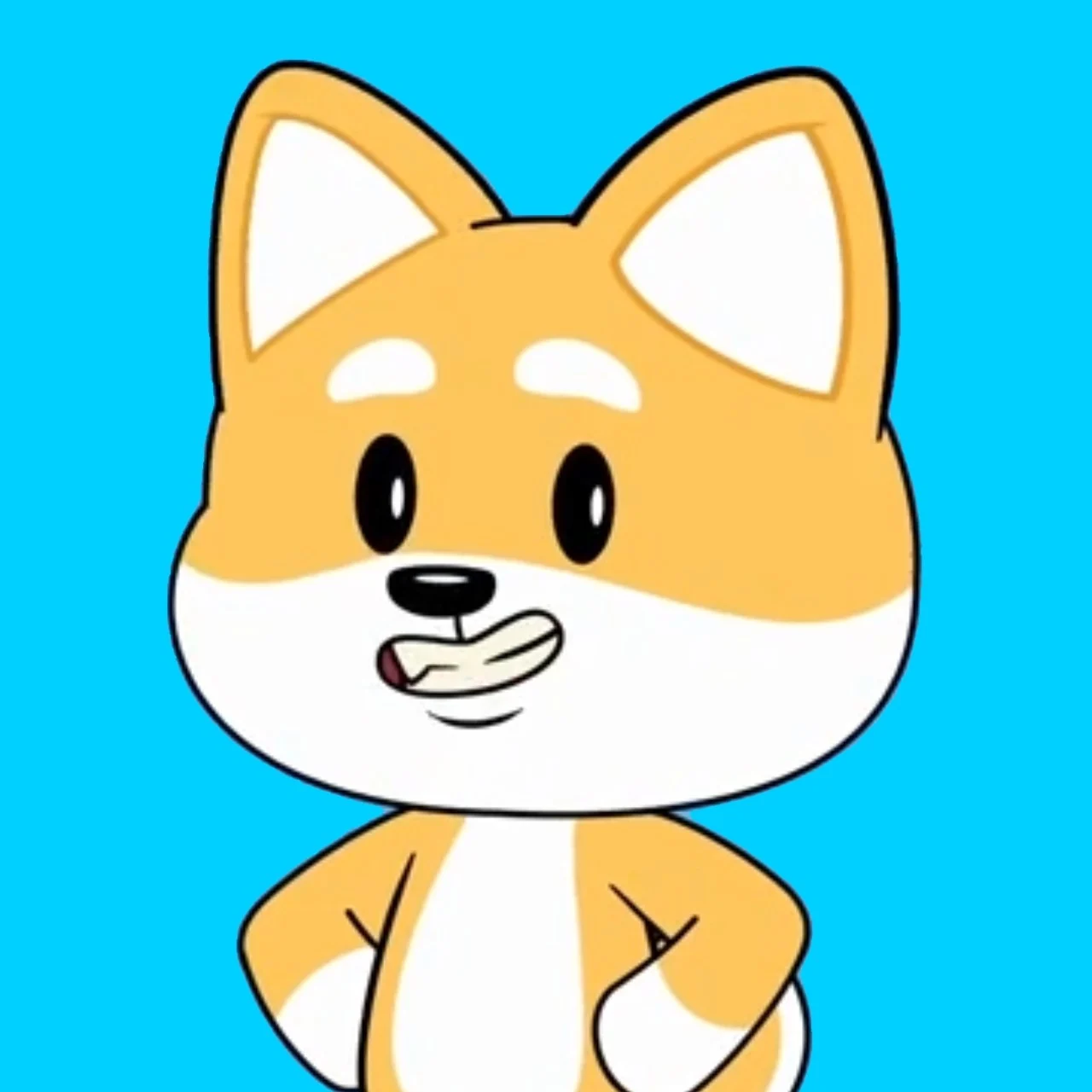 Shappy (Shappysway)