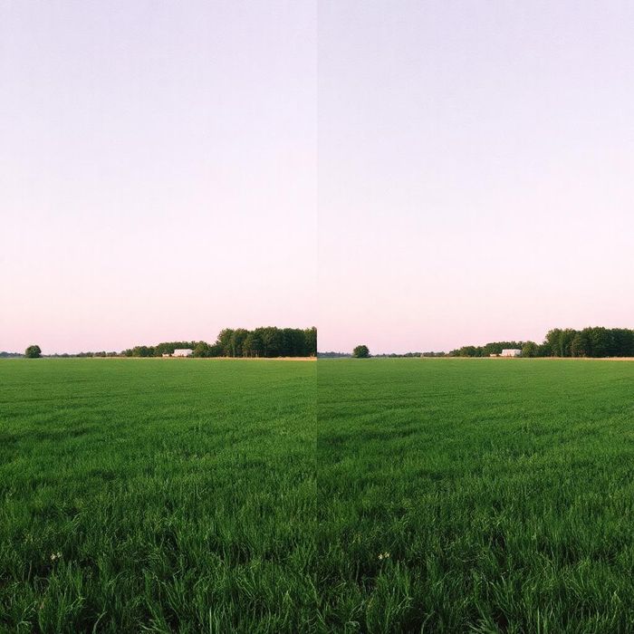 x3-split-310