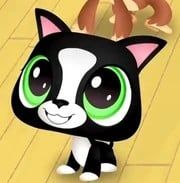 French Bulldog (Littlest Pet Shop Presents)