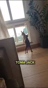 toma jack no ar condicionado