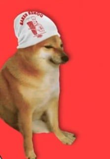 Un doggo kebabbaro