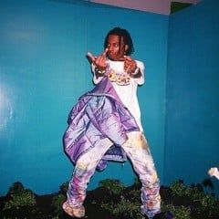 Playboi Carti (Self Titled Era)