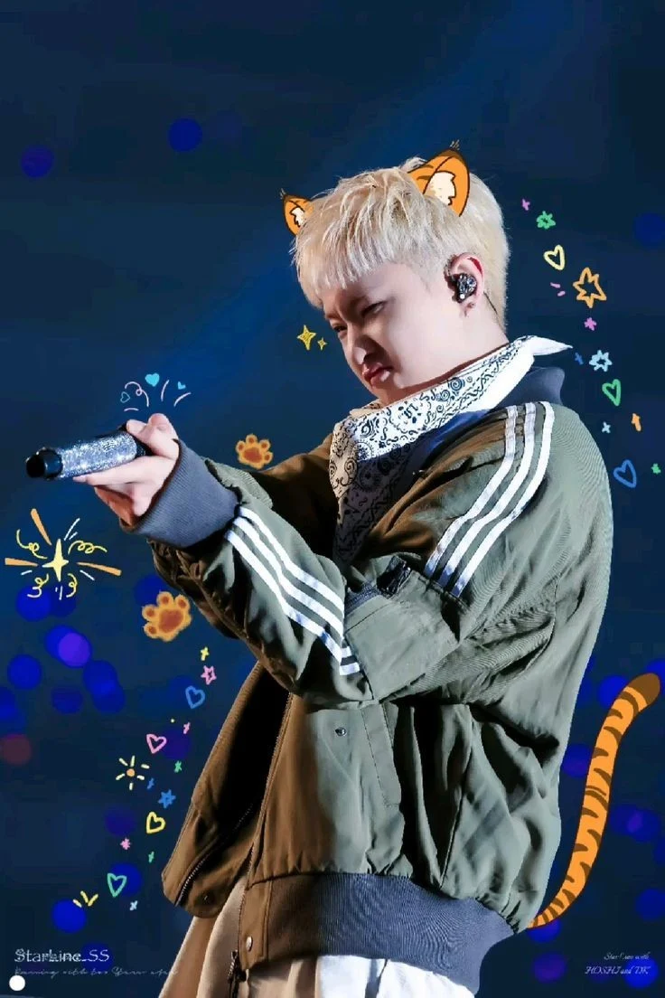 Hoshi - Seventeen