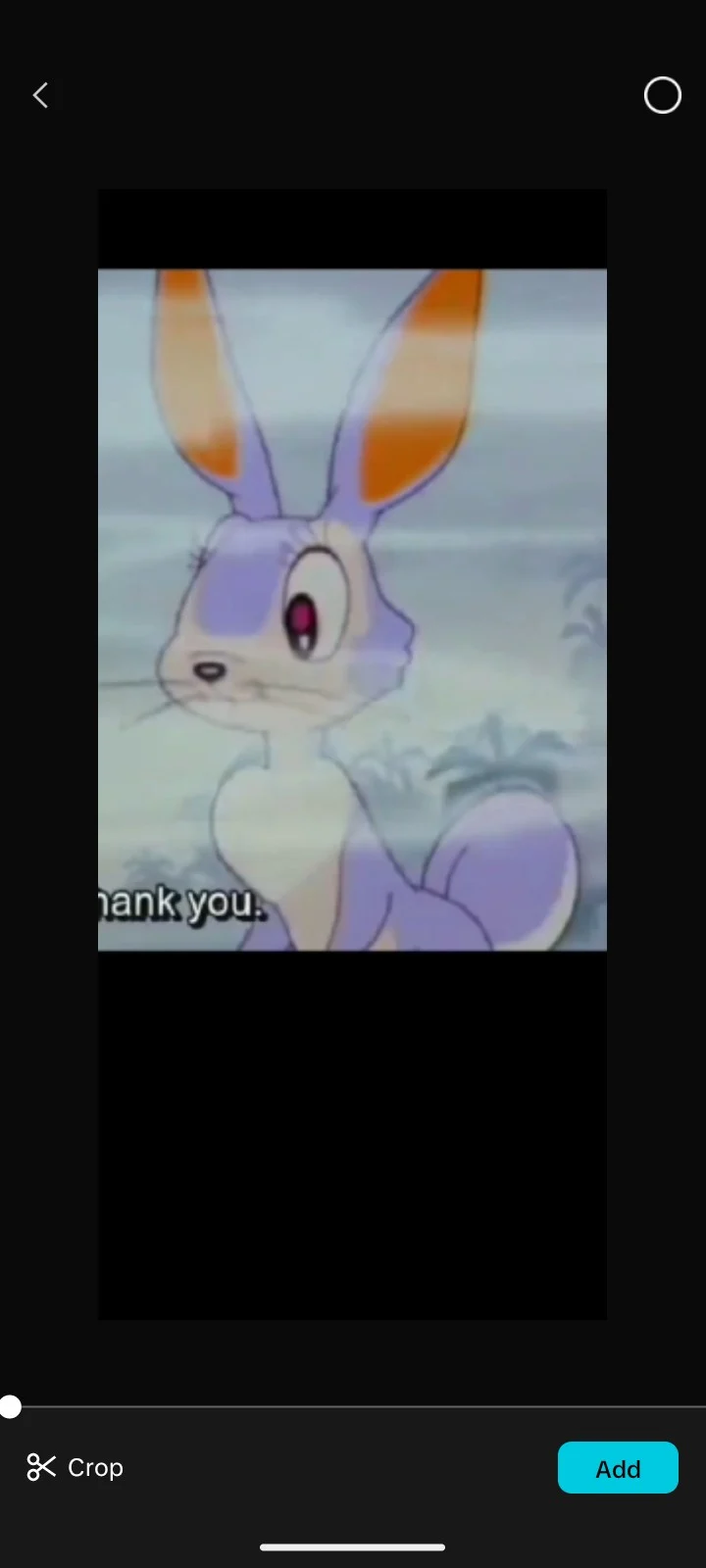 Zamba rabbit 
