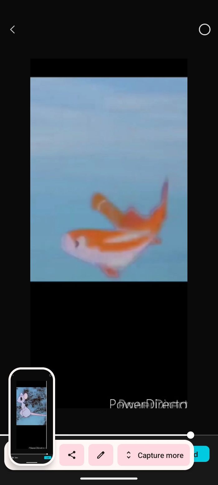 Zamba fish