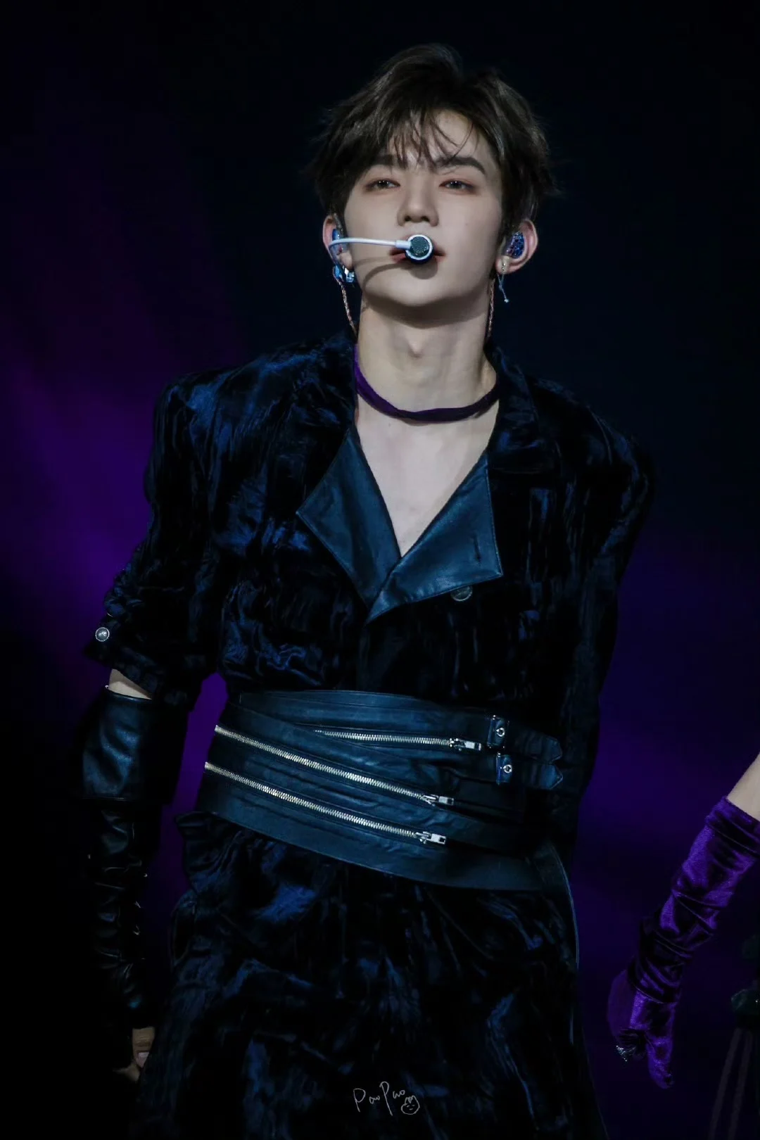 zhanghao