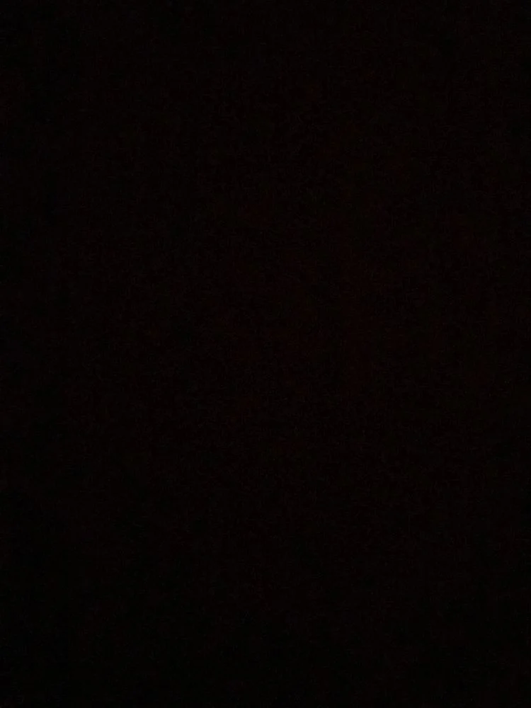 قاسم محمد 