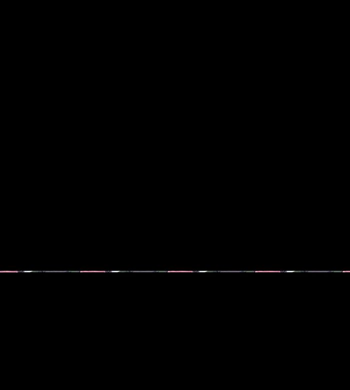 VocalpequenoCompleto270
