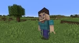 Grotesque Steve