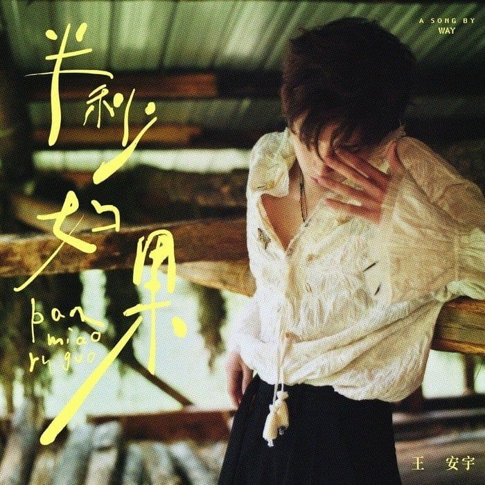 王安宇（Buss Wang，Wang Anyu，王安宇）