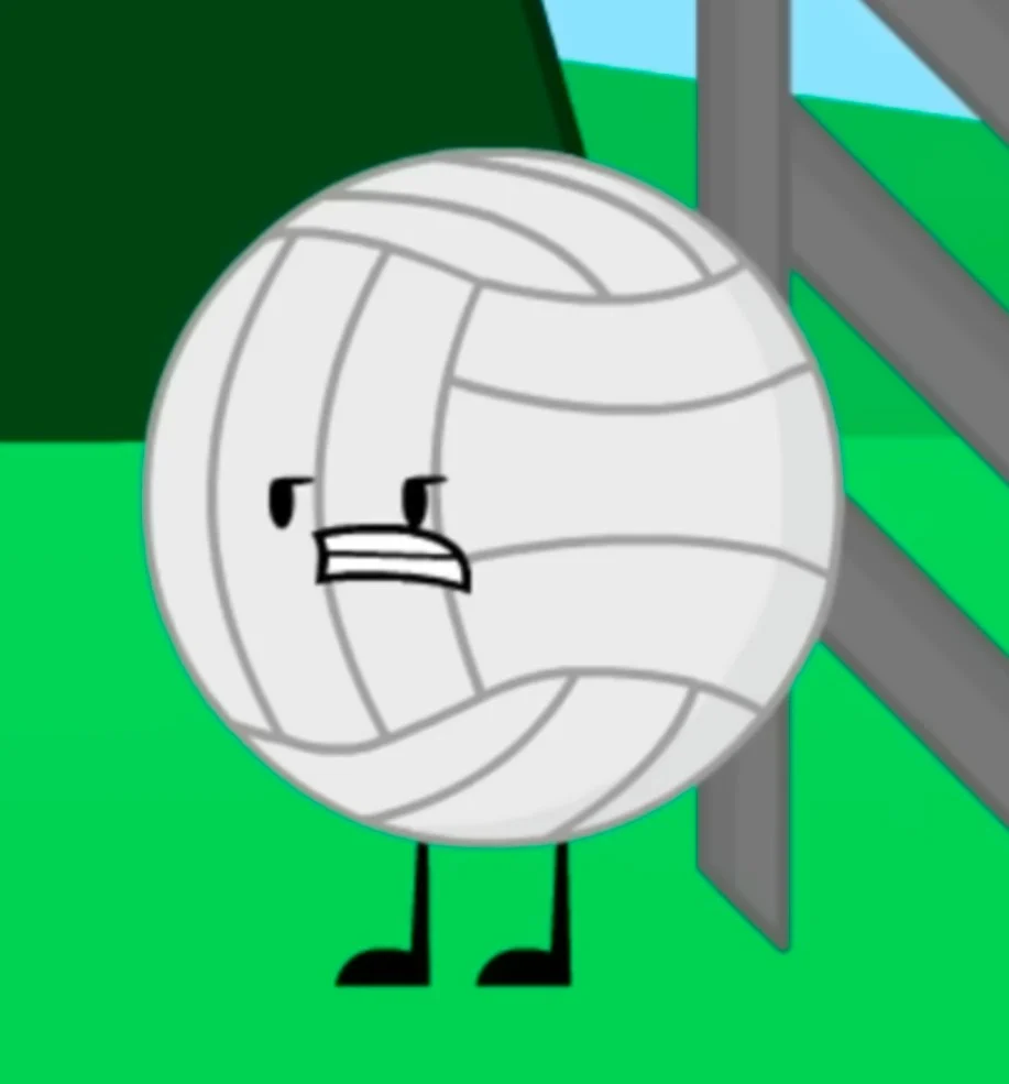 Volleyball (Object Havoc)