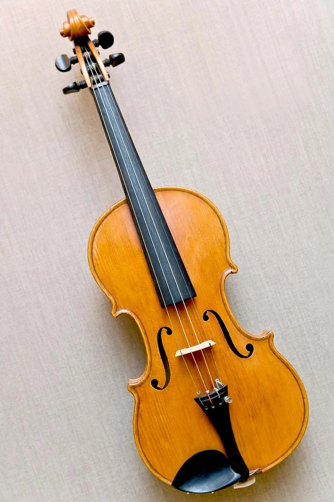 Violin + Fiddle + Cello + Viola
