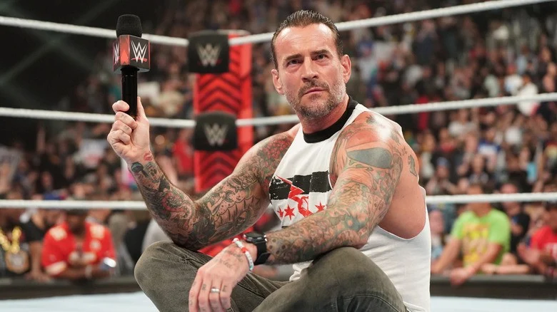 WWE CM Punk