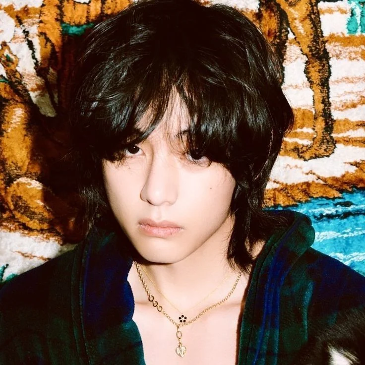 taehyung layover