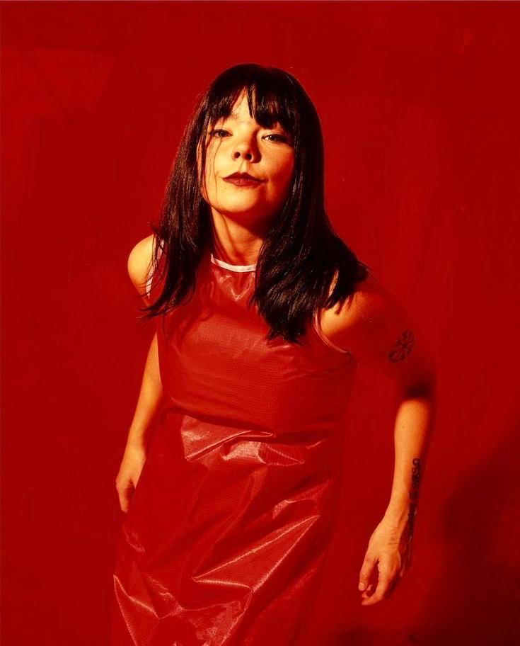 Björk (2)