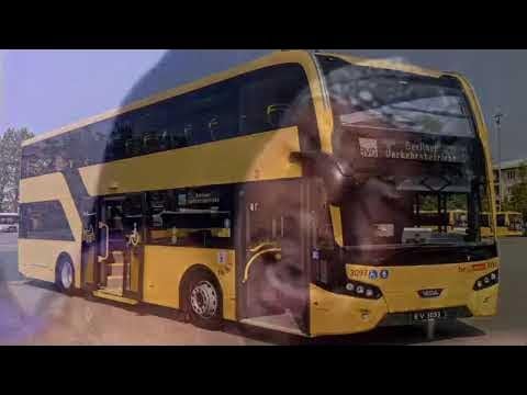 "Buss" Dreamy (Meme)
