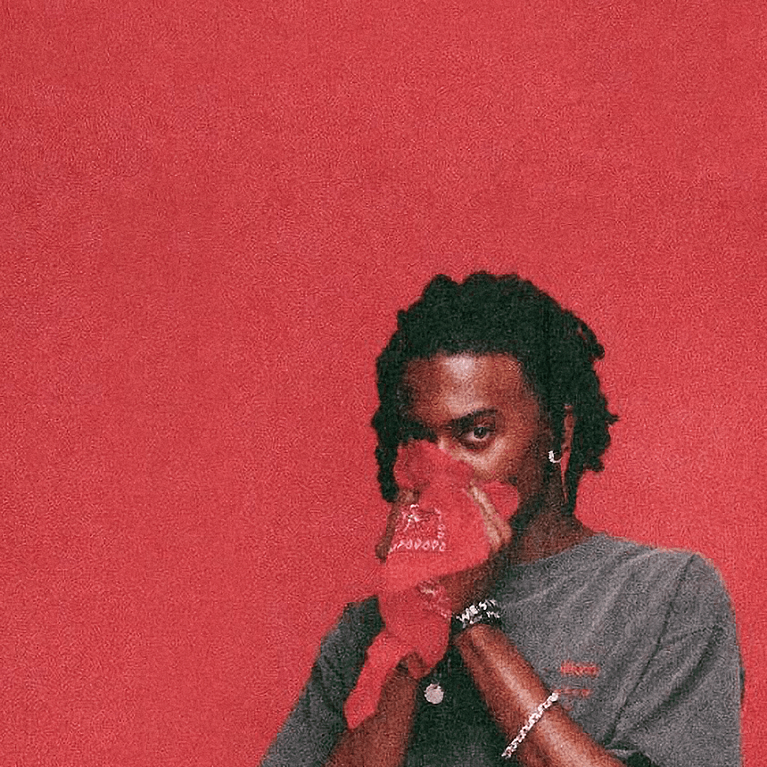Playboi Carti WLR era/chill voice