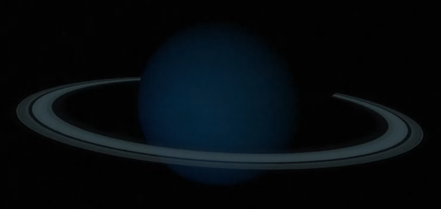 Caerulus (Nephthys Media, Black Drag0nfish)