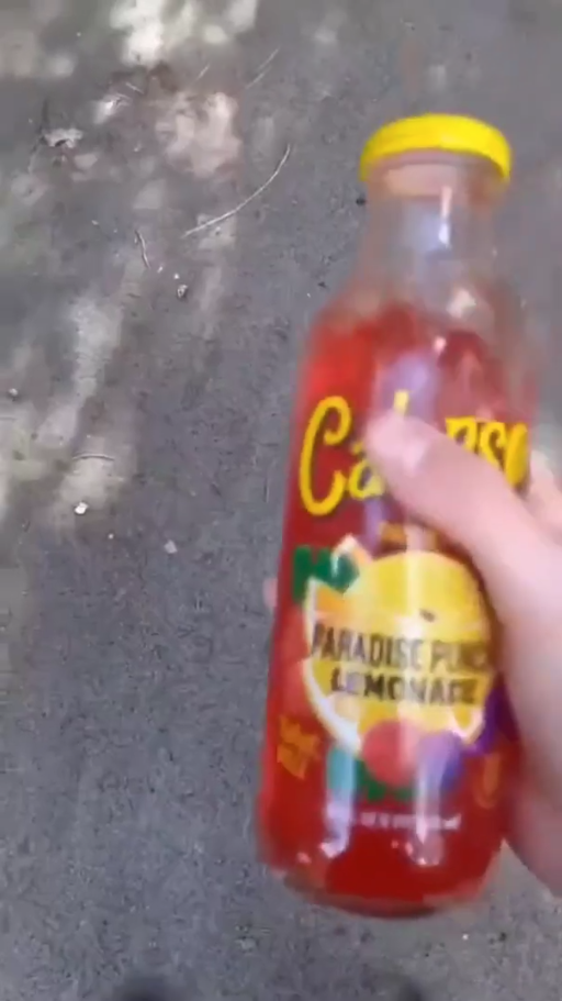 British Calypso Kid (Meme)